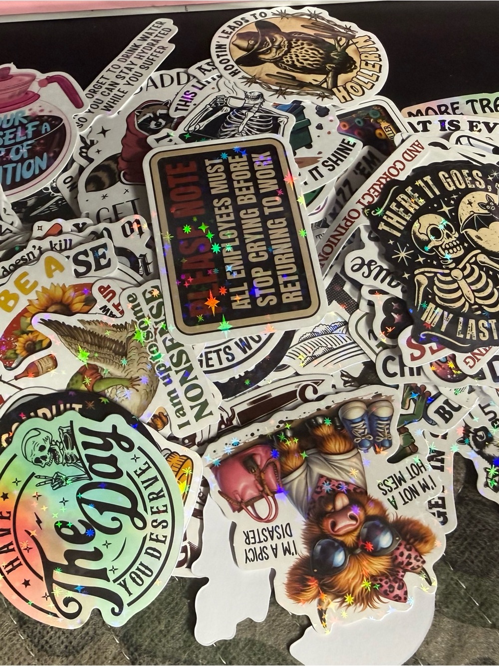 10 Random Holographic Assorted Sticker Pack - *ADULT HUMOR*